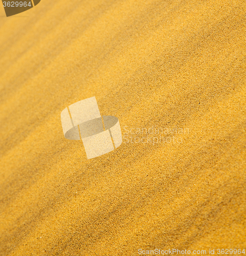 Image of the brown sand dune in the sahara morocco desert 