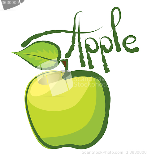 Image of Vector Apple