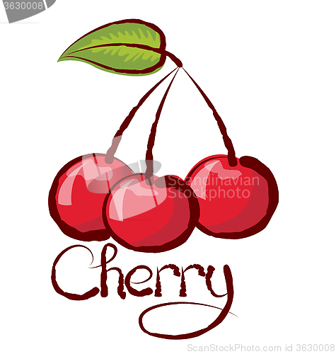 Image of Vector Cherry