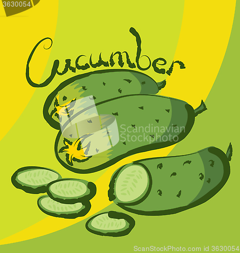 Image of Vector ?ucumber