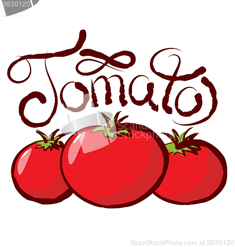 Image of Vector Tomato