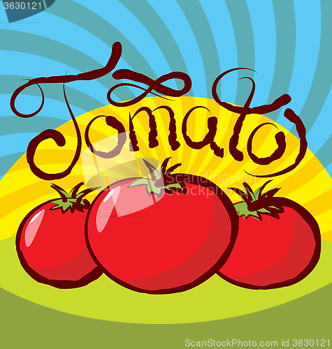 Image of Vector Tomato