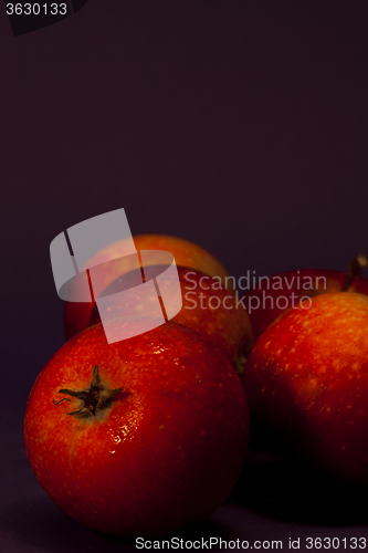 Image of apples