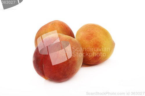 Image of Tree Ripe Peaches