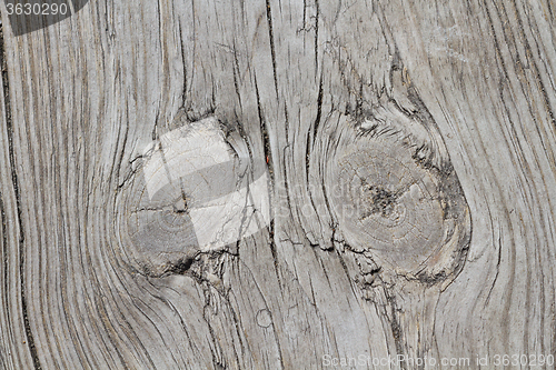 Image of Wood