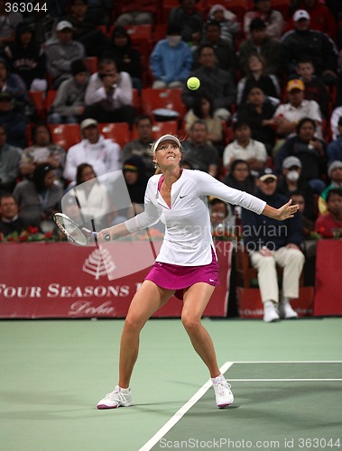 Image of Maria Sharapova eyes the ball at Qatar Open