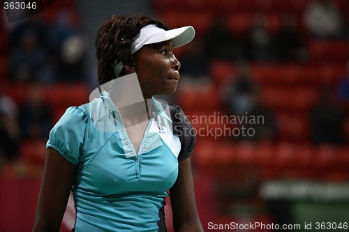 Image of Venus Williams at Qatar Open, Doha
