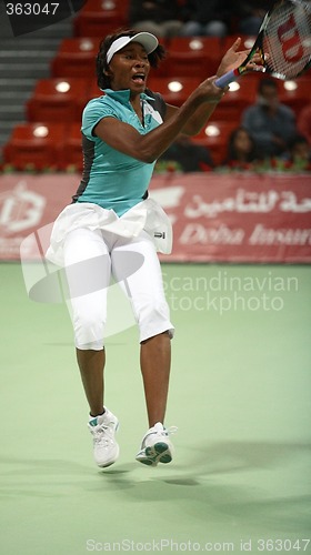 Image of Venus Williams playing at Qatar Open in Doha