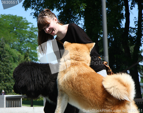 Image of Girl with dogs