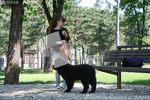 Image of Girl and her puppy