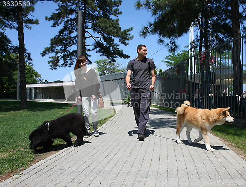 Image of Walking with puppies