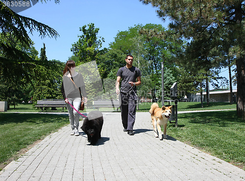 Image of Walking with puppies