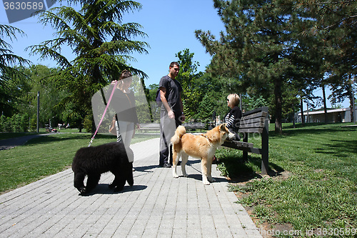 Image of Break in park