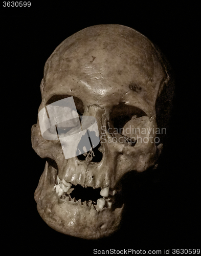 Image of old rundown skull