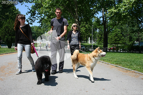 Image of Walking with puppies