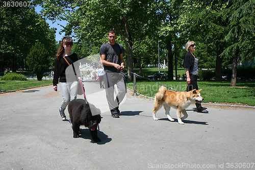 Image of Walking with puppies