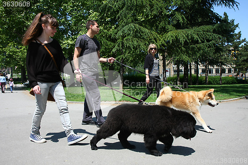 Image of Walking with puppies