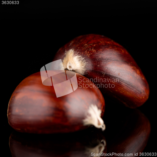 Image of Chestnuts on a black reflective background