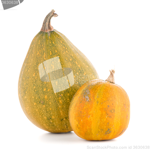Image of Pumpkins