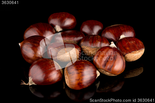 Image of Chestnuts on a black reflective background