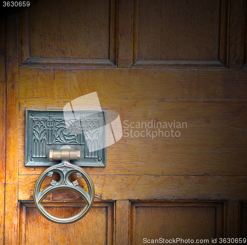 Image of handle in london antique brown door  rusty  brass nail and light