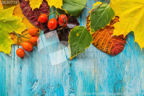 Image of Beautiful autumn leaves.