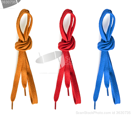 Image of various shoelaces on white background