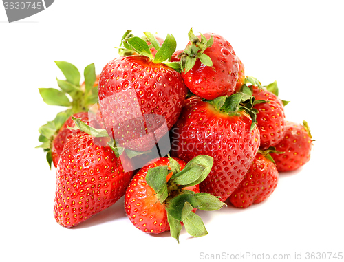 Image of Red strawberry photographed 