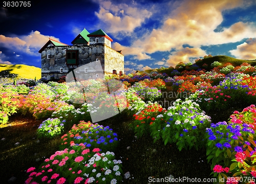 Image of Beautiful landscape with flowers