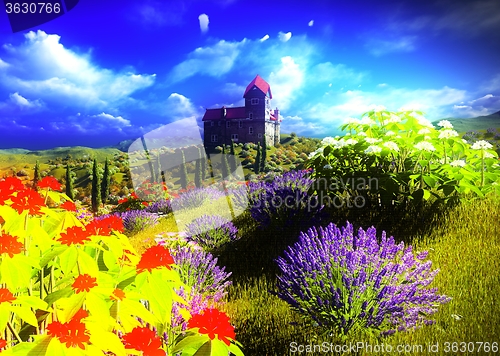 Image of Beautiful landscape with flowers