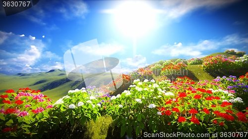 Image of Beautiful landscape with flowers