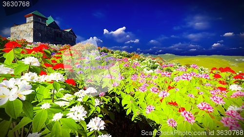 Image of Beautiful landscape with flowers