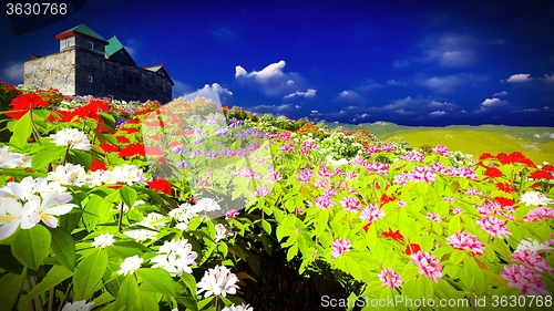 Image of Beautiful landscape with flowers