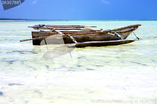 Image of zanzibar beach  seaweed in indian ocean tanzania    sand 