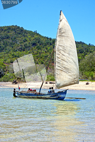 Image of pirogue beach seaweed  indian ocean madagascar  people   