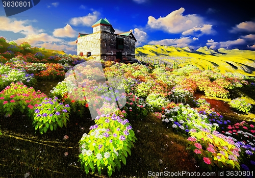 Image of Beautiful landscape with flowers