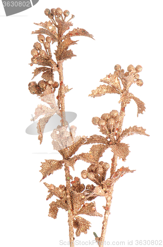 Image of Golden Christmas decoration branches