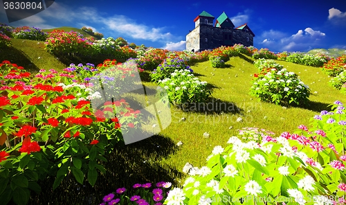 Image of Beautiful landscape with flowers