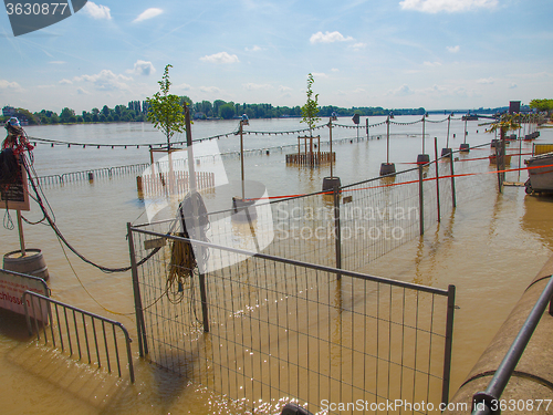 Image of River Rhine Flood in Mainz