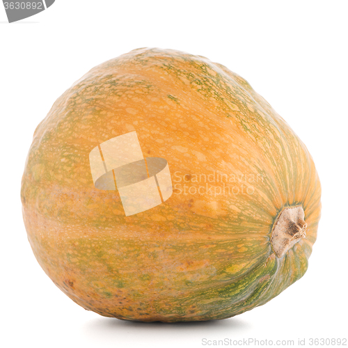 Image of Pumpkin