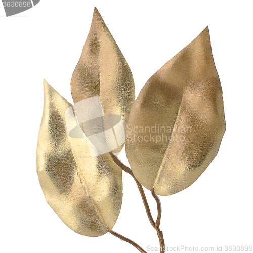 Image of Christmas decorative golden leaves
