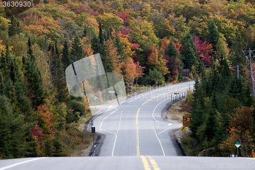 Image of Algonquin Park Muskoka Ontario Road