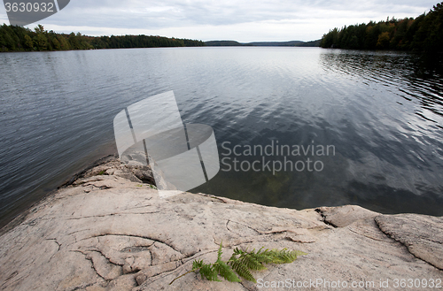 Image of Algonquin Park Muskoka Ontario Lake Wilderness