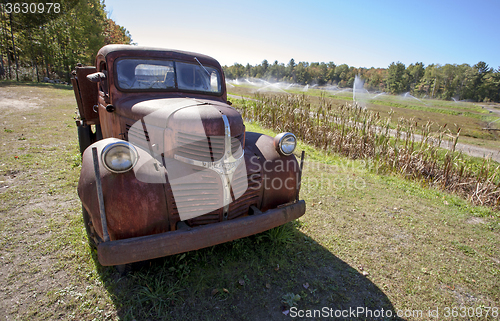 Image of Cranberry Fields in Bala Ontario