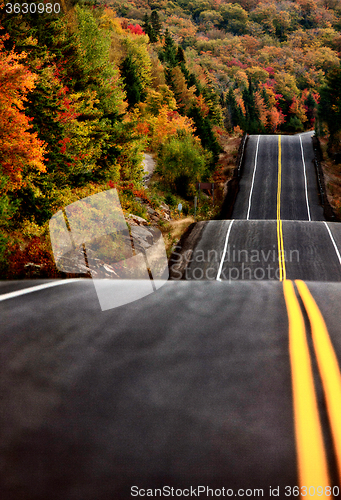 Image of Algonquin Park Muskoka Ontario Road