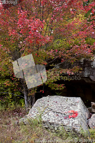 Image of Algonquin Park Muskoka Ontario