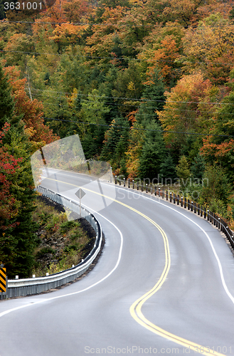 Image of Algonquin Park Muskoka Ontario Road