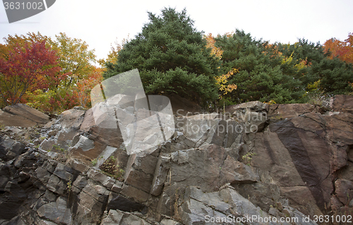 Image of Algonquin Park Muskoka Ontario