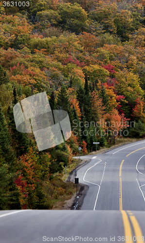 Image of Algonquin Park Muskoka Ontario Road