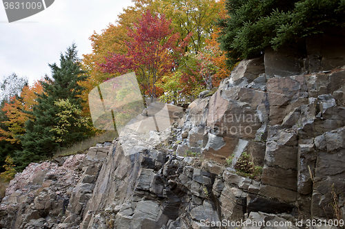 Image of Algonquin Park Muskoka Ontario